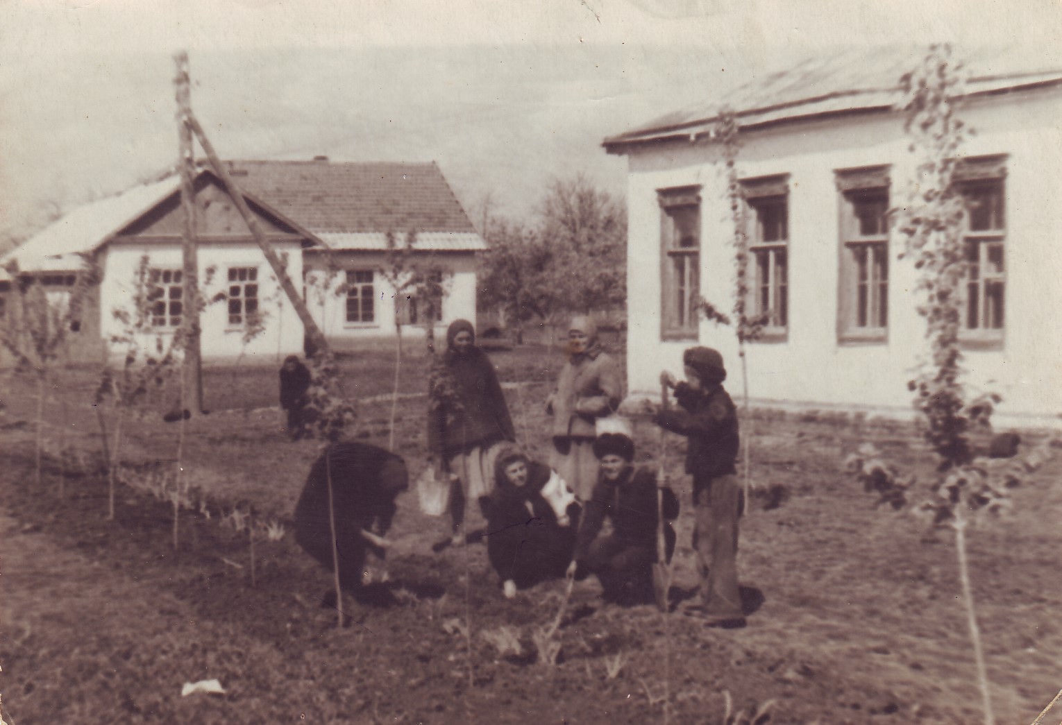 Фотография школы.